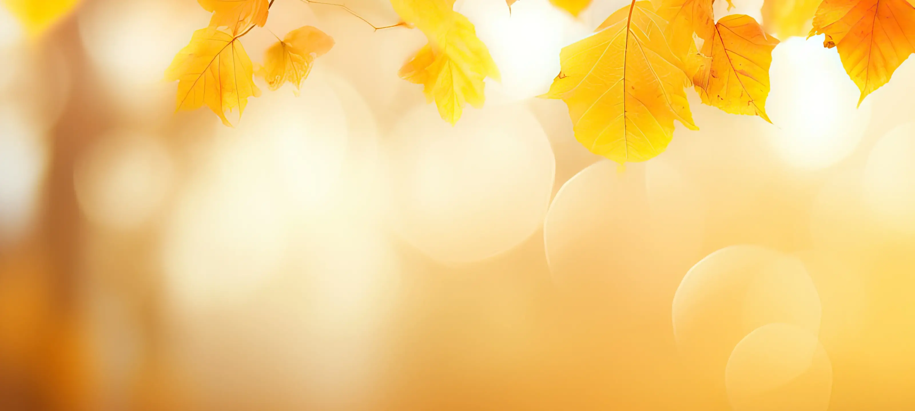 Dzelteni rudens lapu zari uz izplūduša, gaiši oranža fona ar bokeh gaismas efektu.